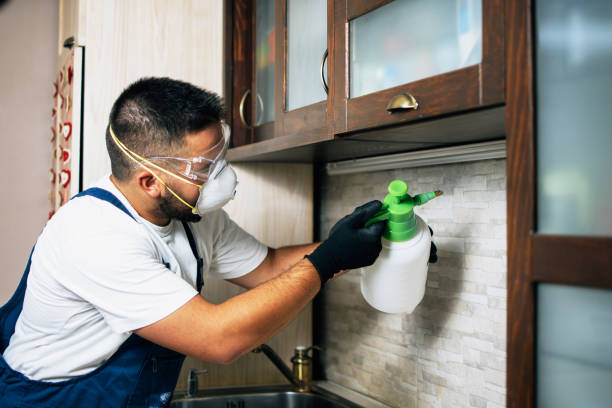 Best Bed Bug Extermination  in North Baltimore, OH